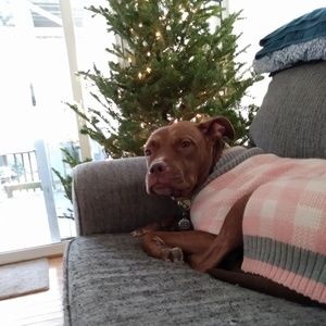 Meet your Posher, Garrett